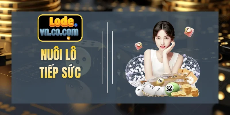 Nuôi Lô Tiếp Sức